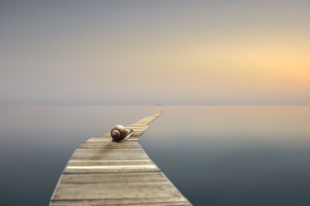 逃避的概念图片下载