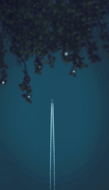 在晴朗的蓝天下俯瞰树木图片下载