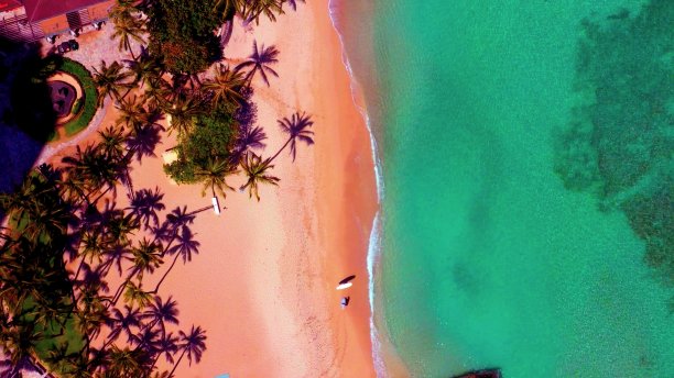 有棕榈树和两个冲浪者的海滩图片下载