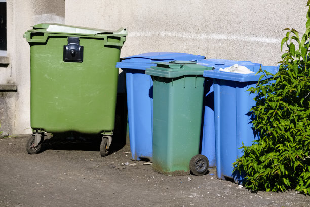 Wheelie bin颜色为蓝色，绿色和黑色的避难收集外房子排图片下载