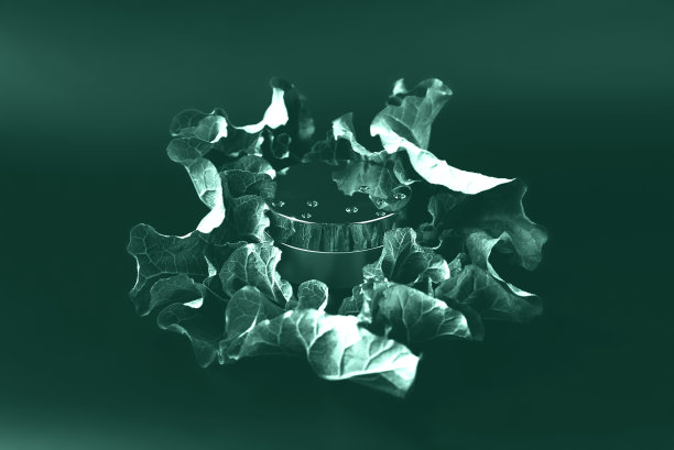 金色的奶油模型立在一片绿叶上。在黑色的背景上。的概念。图片下载