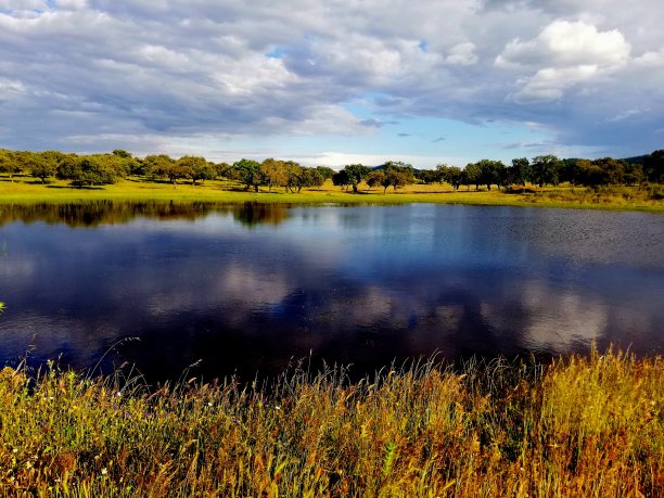 埃斯特雷马杜拉在春天图片下载