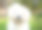 一只可爱的白色混血西施犬倾斜着头听着素材图片