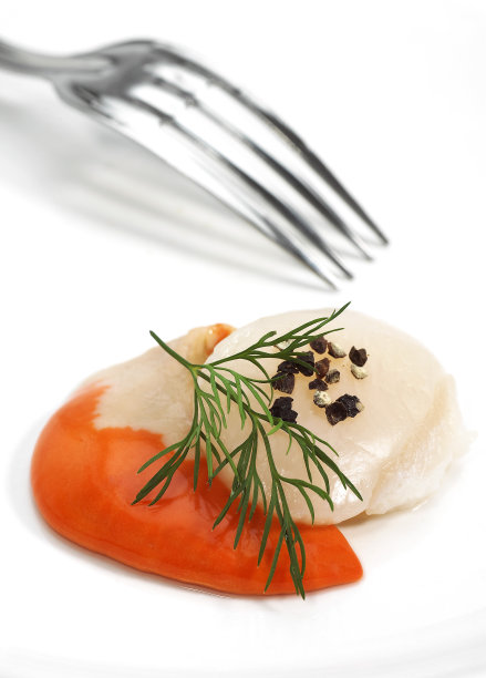 鲜扇贝与莳萝图片下载