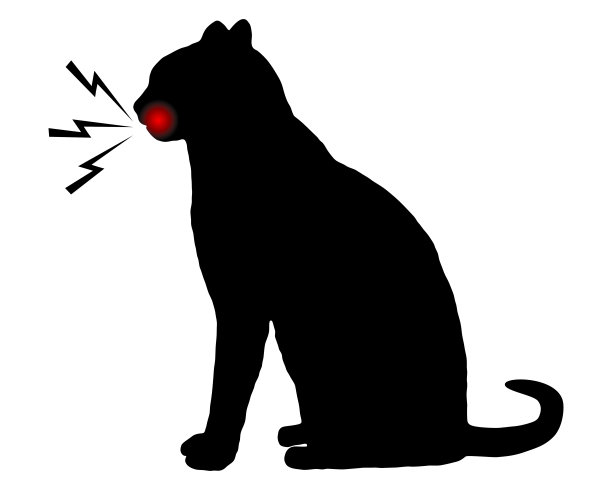 猫的牙痛就白了图片下载