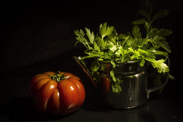 香草和红番茄图片下载