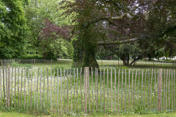一棵用木栅栏围起来的老树，黑塞巴德纳海姆温泉花园里的尖桩篱笆。图片下载