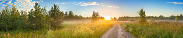 令人惊叹的夏日全景乡村景观与日出图片下载