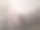 模糊树图片下载