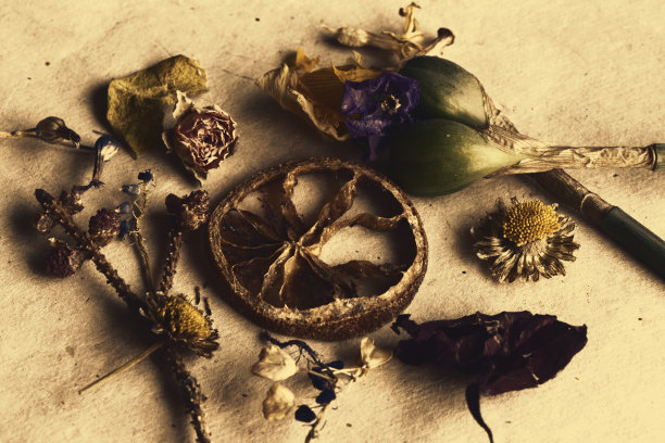 干花、植物和水果宏和静物，丰富多彩的自然背景。干燥的东西在美丽的图片。图片下载