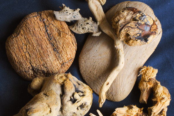 干花、植物和水果宏和静物，丰富多彩的自然背景。干燥的东西在美丽的图片。图片下载