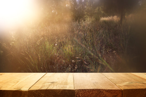 复古的木板桌子在梦幻和抽象的森林景观与镜头光晕。图片下载