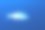 常见dentex图片下载