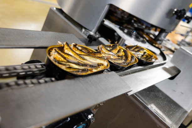 盘子传送带上的鱼罐头。图片下载