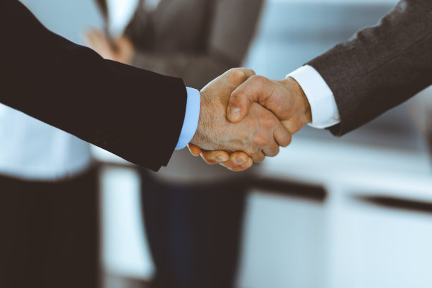 商务人士在会议或谈判后与同事握手。一群不知名的商人和女性在现代办公室。团队合作，伙伴关系和握手的概念，色调图片图片下载