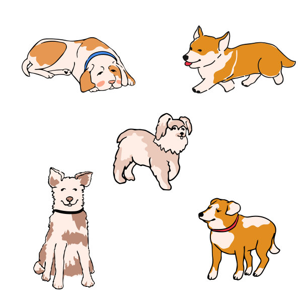 设置不同品种的狗图片下载