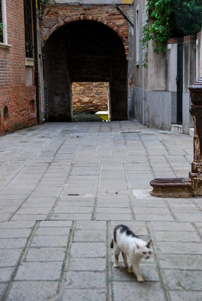 在老城胡同里，数码照片图片作为背景图片下载