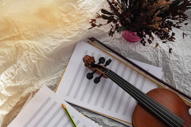 小提琴卷轴放在干枯的花盆旁，背景上，四周模糊的灯光图片下载