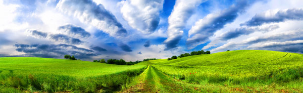 田园诗般的绿色田野和云景全景图片下载