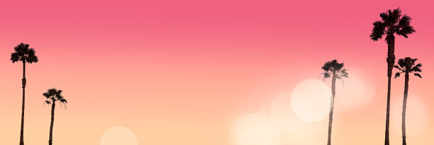 热带日落图片下载