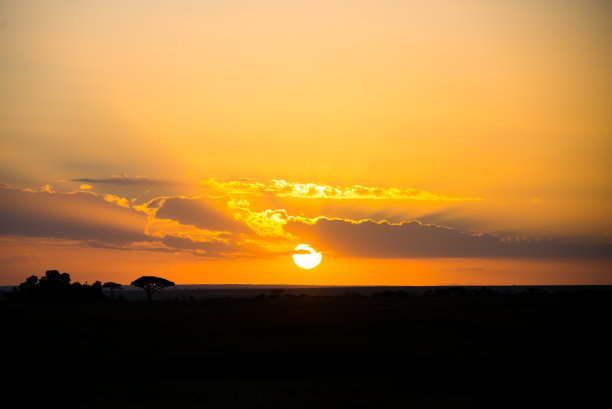 塞伦盖蒂图片下载