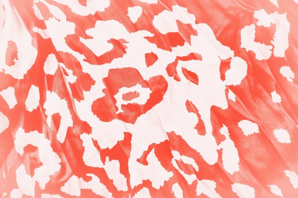 珊瑚色背景与豹纹。时尚的豹纹图案。图片下载