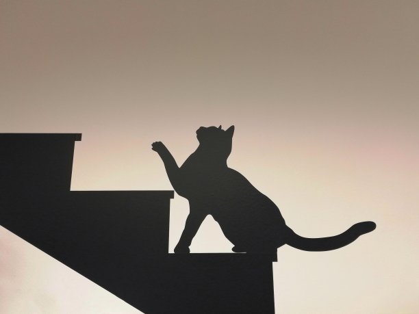 楼梯上黑猫的插图图片下载