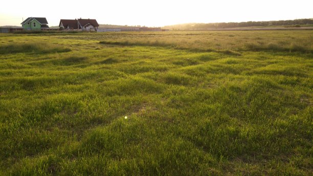 绿色田野中间的一座孤零零的房子。图片下载