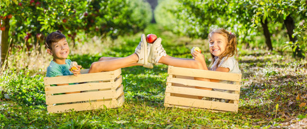 兴奋有趣的小兄弟姐妹们在花园里玩耍，坐在板条箱里，吃苹果，用脚扶着一个苹果。图片下载