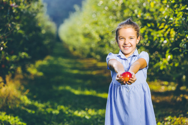 花园食品的概念。孩子穿着漂亮的蓝裙子，给你一个苹果，开心地笑着。图片下载