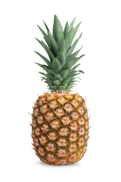 在白色背景上分离的成熟菠萝。图片下载