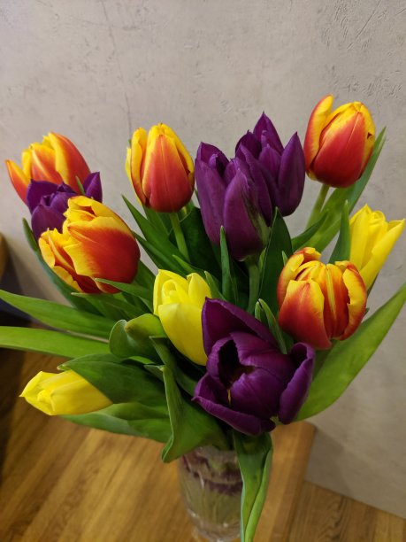 美丽的郁金香花束在一个花瓶，近距离的郁金香在一个花瓶图片下载