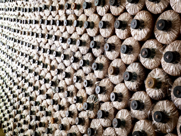 工厂蘑菇苗圃布置图片下载