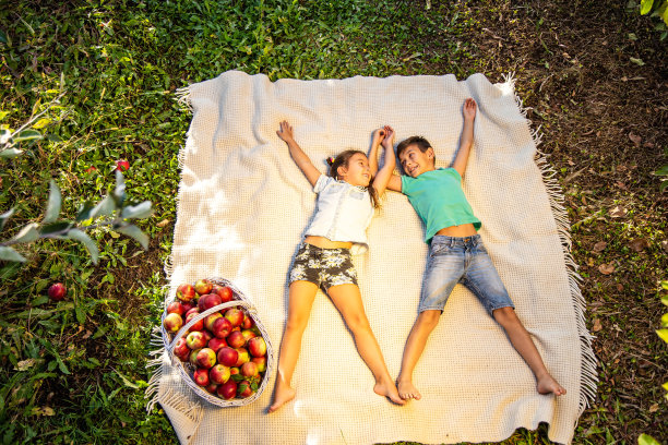 俯视图照片中，厚脸皮的兄弟姐妹躺在花园里的格子布上，旁边放着一大篮苹果，享受着一起的时光。图片下载
