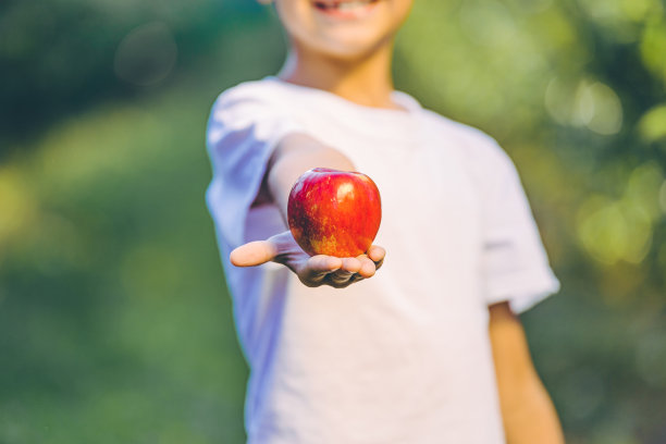 在果园里健康的孩子拿着苹果在他的手里提供它给每个想要吃生态食品的人的镜头。关注苹果。图片下载