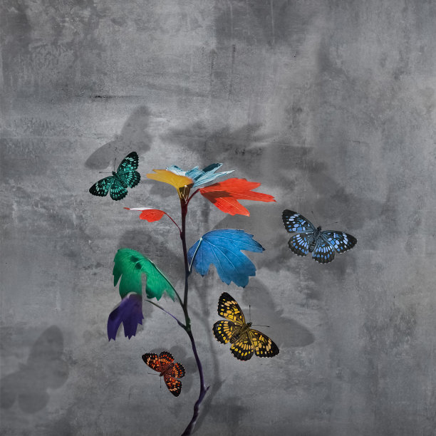 五颜六色的树枝与树叶和美丽的蝴蝶在混凝土背景。简约的城市自然形象。副本的空间。图片下载