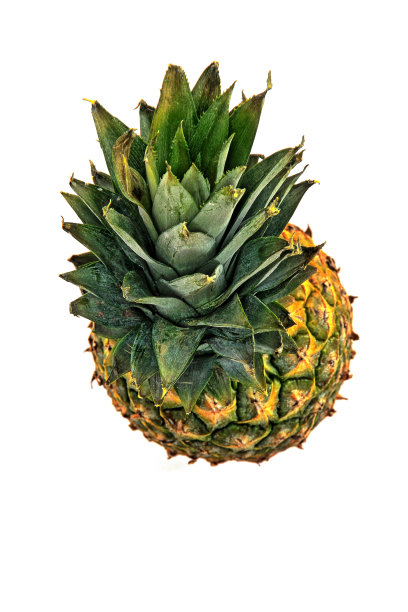 新鲜的菠萝，分离在白色图片下载