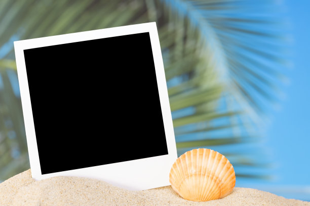 夏天的背景图片下载