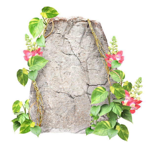 天然古石、热带花叶植物图片下载