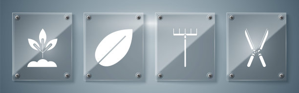 设置园艺手工剪刀修剪，花园耙，叶和植物。方形玻璃面板。向量素材图片