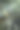 世界上最大的竹子长到天上，中间有美丽的阳光。图片下载
