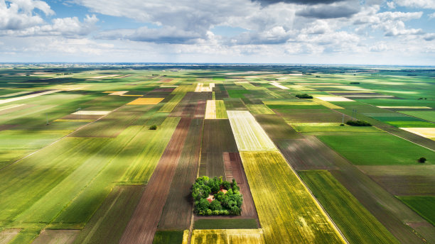 从高处看农田。图片下载