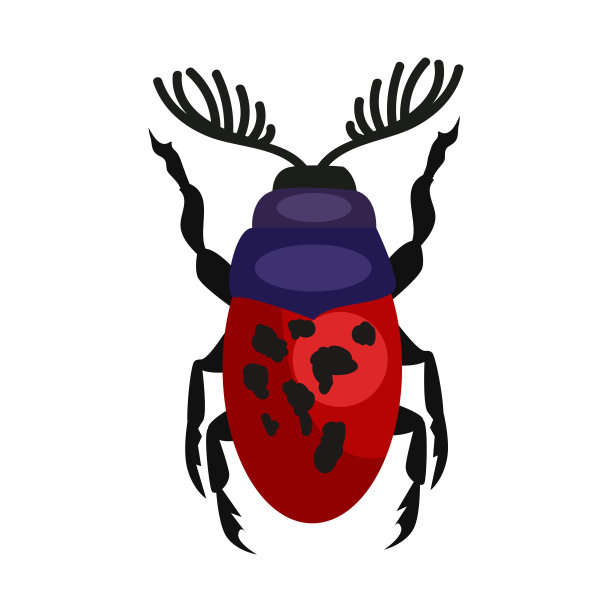 孤立的红斑牡鹿甲虫图片下载