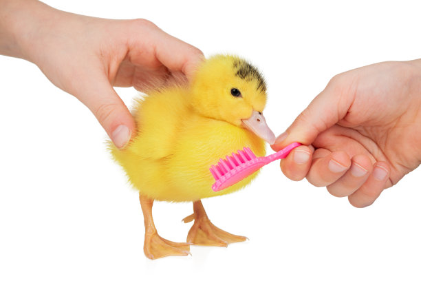 孩子梳着小鸭子图片下载