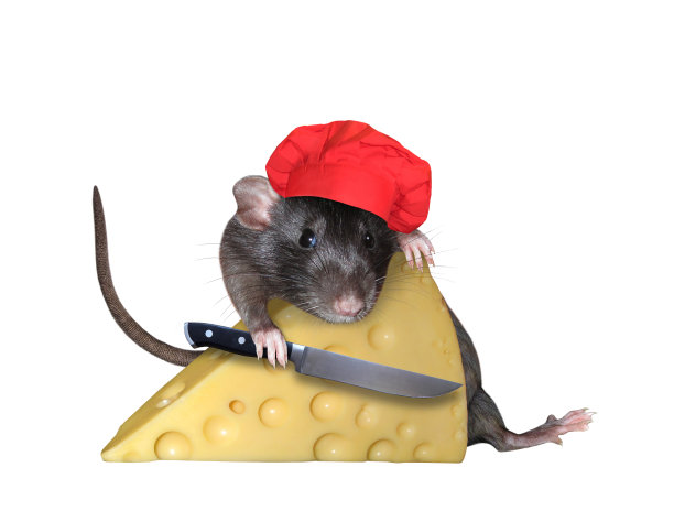 戴红色厨师帽的老鼠切奶酪图片下载