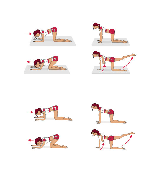 女孩在家训练。伸展腿部和脊椎的肌肉。运动和体操。孤立在白色背景上图片下载