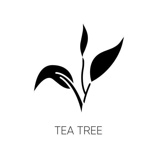 茶树黑色字形图标。护肤产品组件。有机美容。植物水分。精油。天然化妆品的成分。白色空间上的剪影符号。向量孤立的插图图片下载