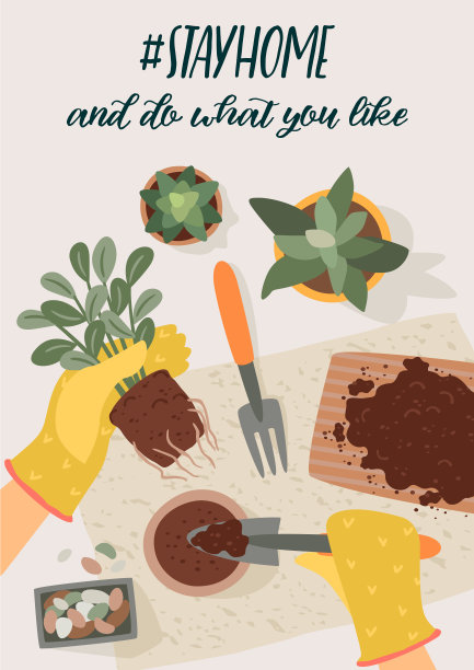 呆在家里。女人换成室内植物。矢量插图。图片下载