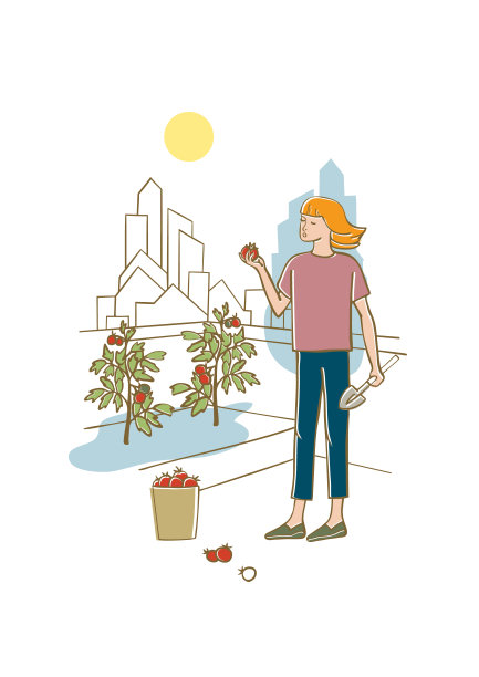 屋顶城市农业，园艺或农业。图片下载