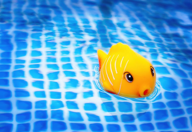 黄色的橡胶玩具鱼漂浮在水池里，夏天的活动。图片下载